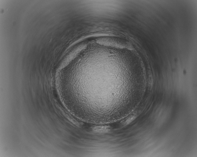 X0000056370465200508291405