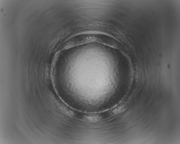 X0000056370466200508291405