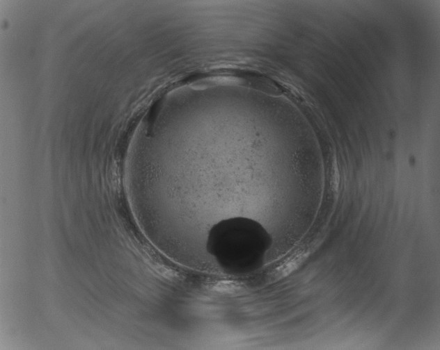 X0000056370467200508291405