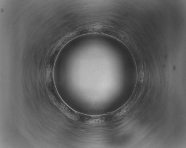 X0000056370468200508291405