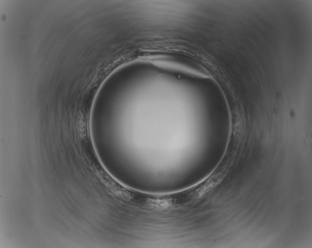 X0000056370469200508291405