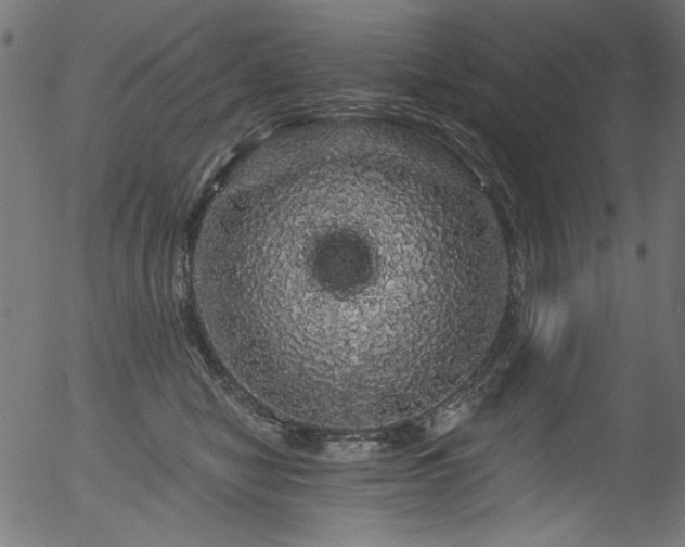 X0000056370470200508291405