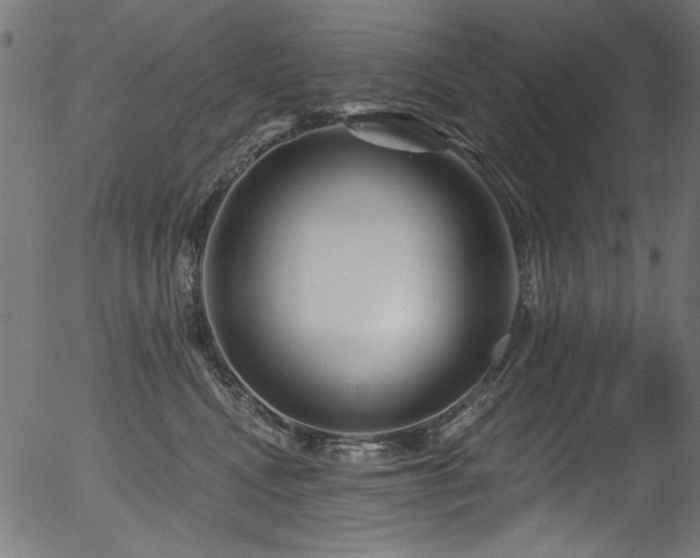 X0000056370472200508291406