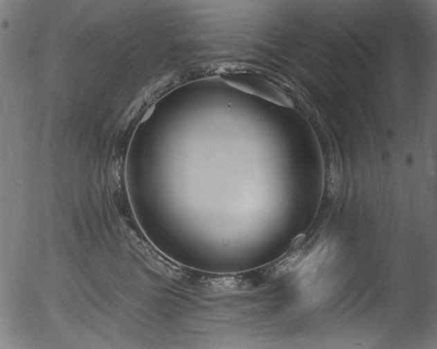 X0000056370473200508291406