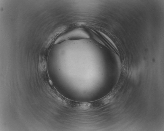 X0000056370474200508291406