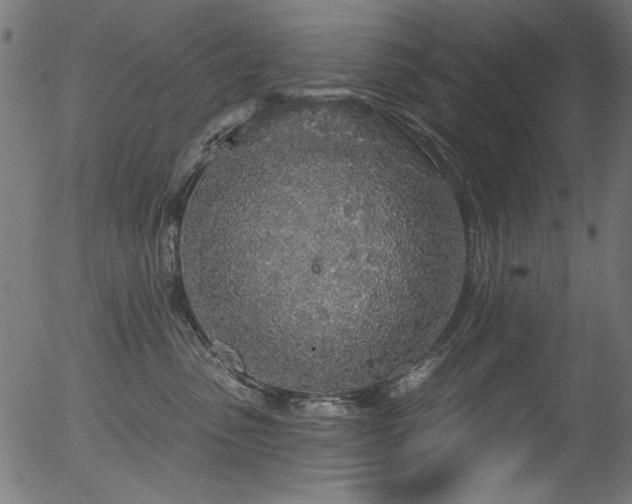 X0000056370475200508291406