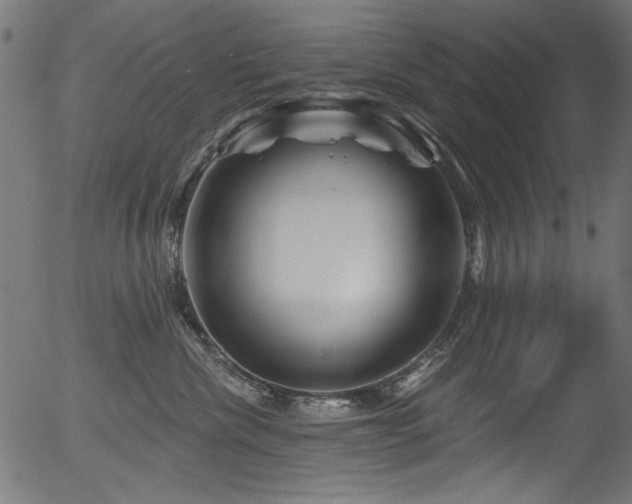 X0000056370476200508291406