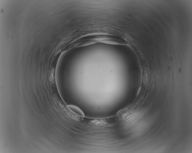 X0000056370477200508291406