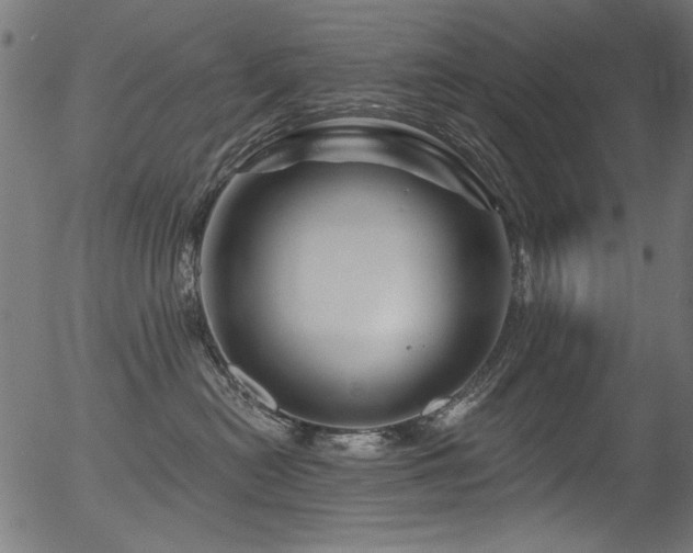 X0000056370478200508291406