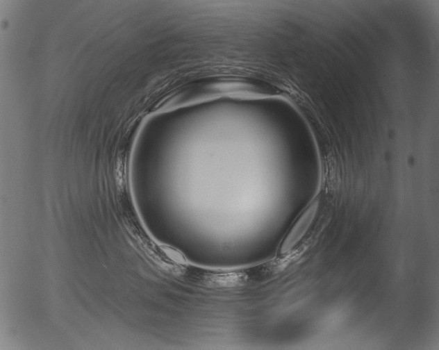 X0000056370479200508291406