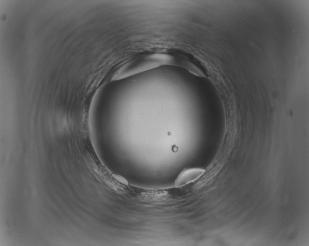 X0000056370480200508291406