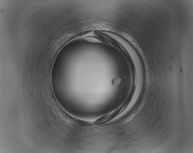 X0000056370481200508291405