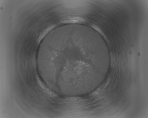 X0000056370482200508291405