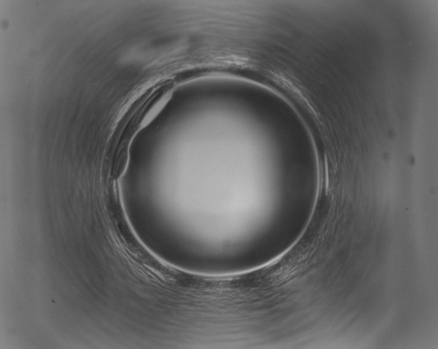 X0000056370483200508291405