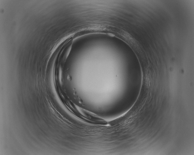 X0000056370484200508291405