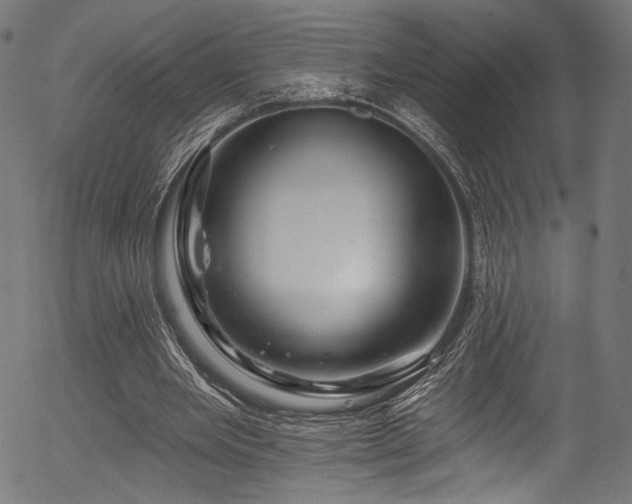 X0000056370485200508291405