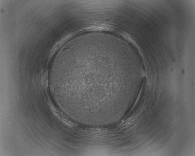 X0000056370486200508291405