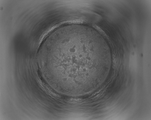 X0000056370487200508291405