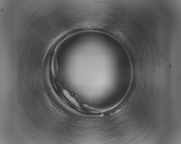 X0000056370488200508291405