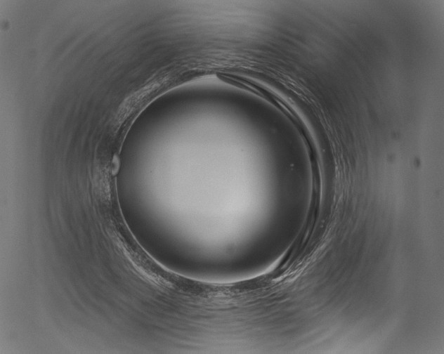 X0000056370489200508291405