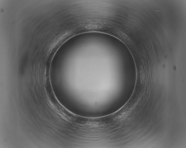 X0000056370490200508291405