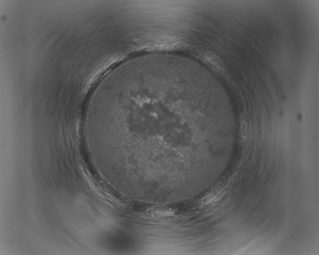 X0000056370491200508291405