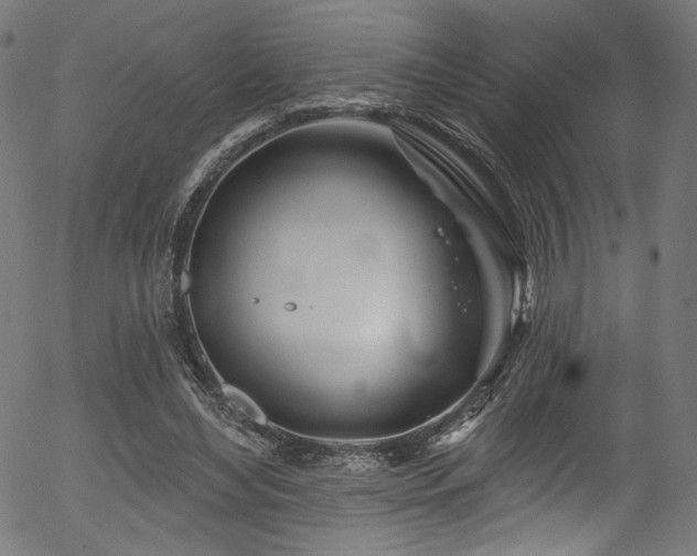 X0000056370492200508291405