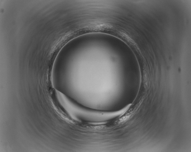 X0000056370493200508291405