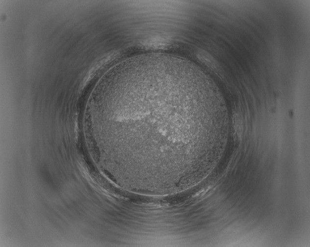 X0000056370494200508291405