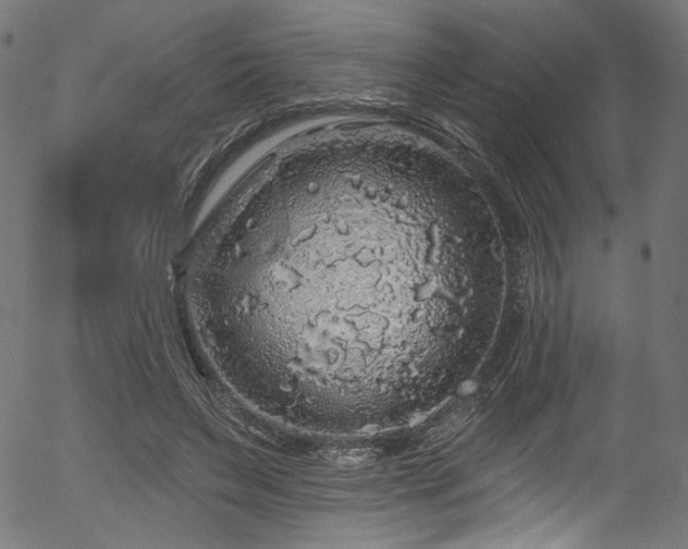 X0000056370495200508291405