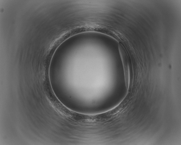 X0000056370496200508291405