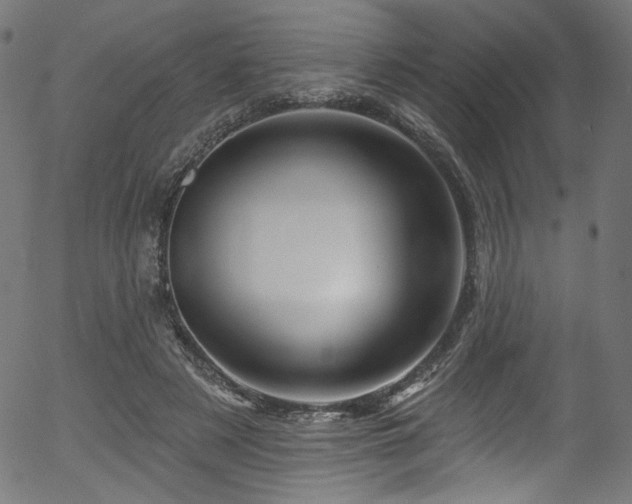 X0000056370497200508291405