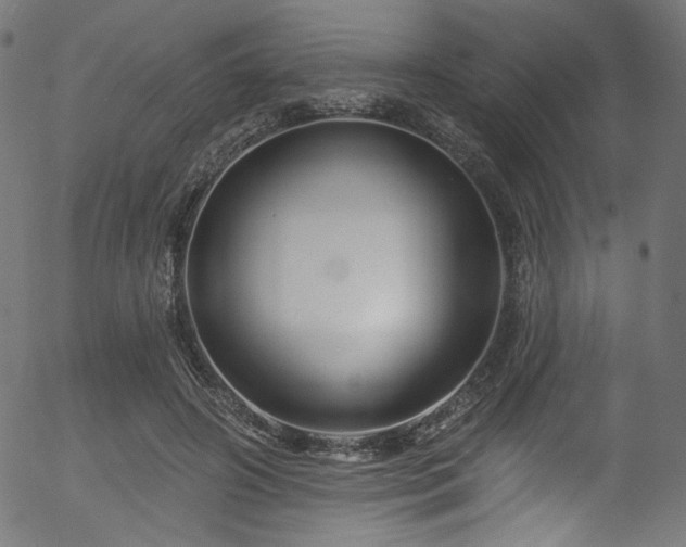 X0000056370498200508291405