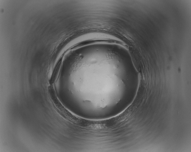 X0000056370499200508291405