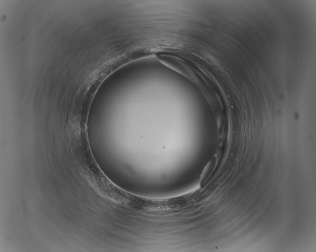 X0000056370500200508291405