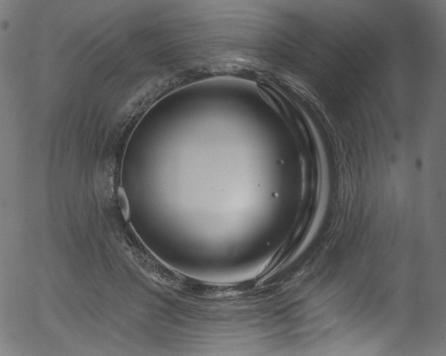 X0000056370501200508291404