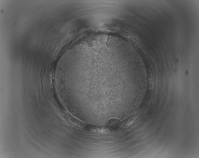 X0000056370503200508291404