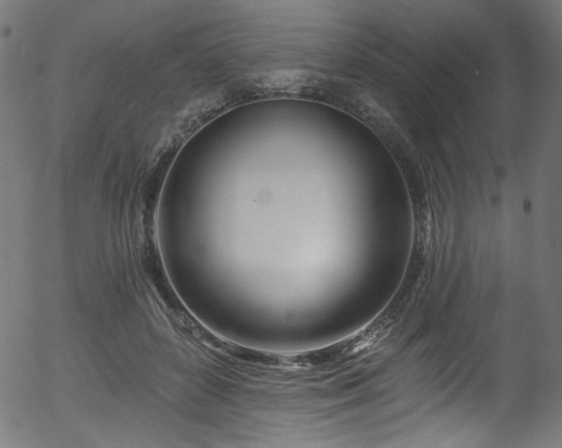 X0000056370504200508291404