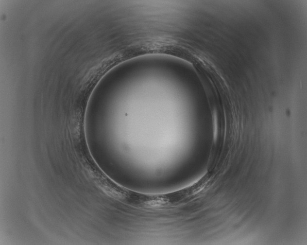 X0000056370505200508291404