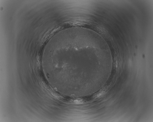 X0000056370506200508291404