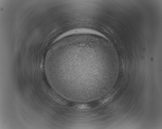 X0000056370507200508291404