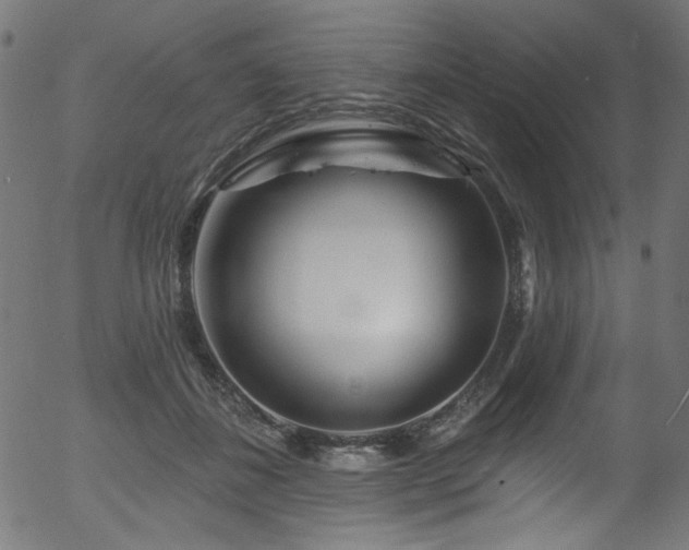 X0000056370508200508291404