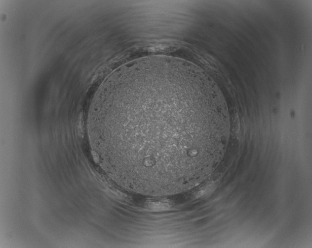 X0000056370510200508291404