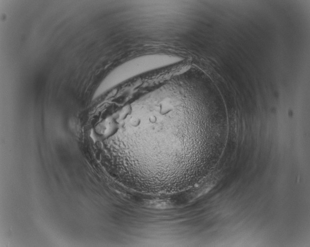 X0000056370511200508291404