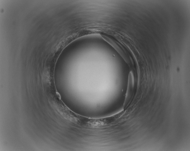 X0000056370512200508291404