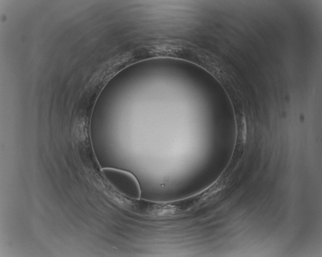 X0000056370514200508291404