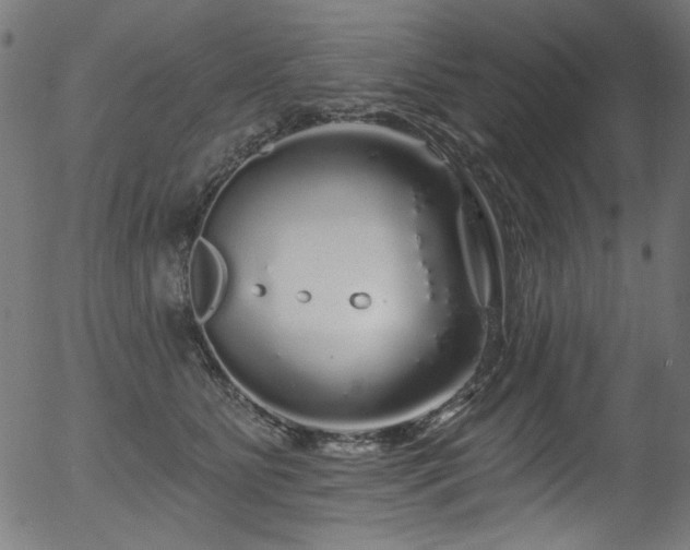 X0000056370515200508291404