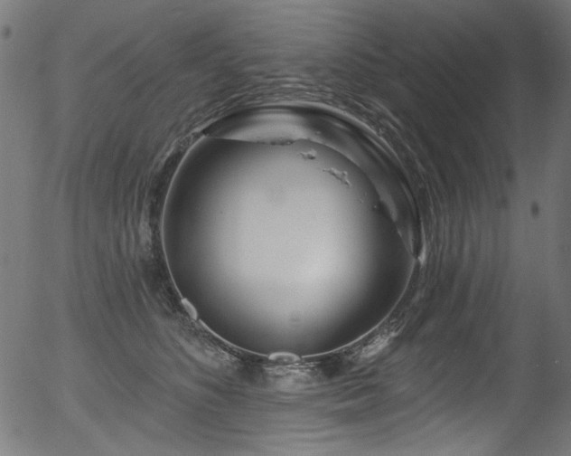 X0000056370516200508291404