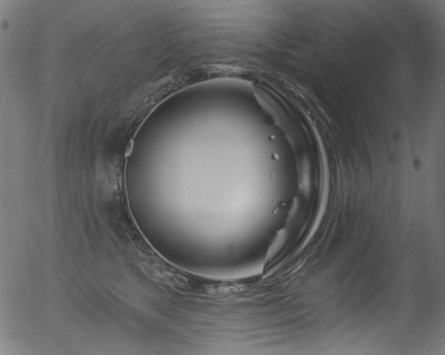 X0000056370517200508291404