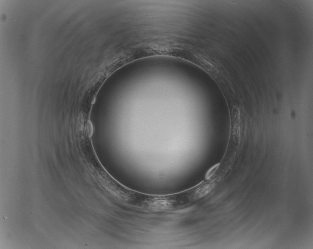 X0000056370518200508291404